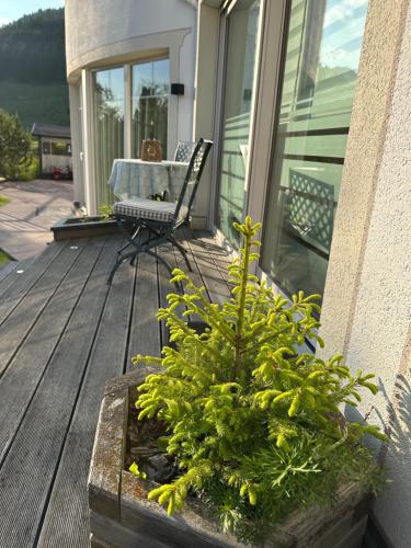 Gallery image of Garnì Villa Erna in Selva di Val Gardena