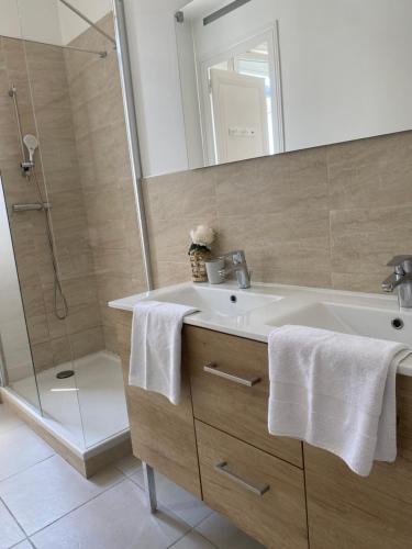 une salle de bain avec un lavabo blanc et une douche dans l'établissement Maison de charme neuf hyper centre Bordeaux, à Bordeaux