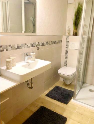 a bathroom with a sink and a toilet and a shower at Naturblick am Petersdorfer See in Petersdorf
