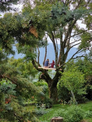 two people sitting on a swing in a tree at Agriturismo Casa del Vento in San Presto