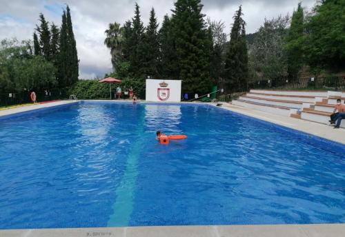 a person swimming in a large blue swimming pool at Casa Paco & Carmela in Algodonales