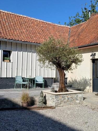 a patio with a tree and chairs in front of a building at Les Oliviers in Chériennes