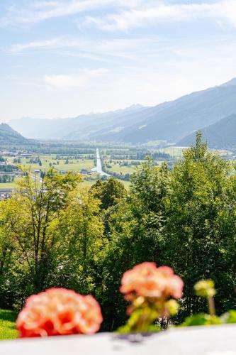 a view of a valley with trees and mountains at Pension Schlossberg in Mittersill
