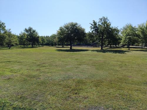 un grand champ d'herbe planté d'arbres en arrière-plan dans l'établissement Le coin des amis, à Biscarrosse