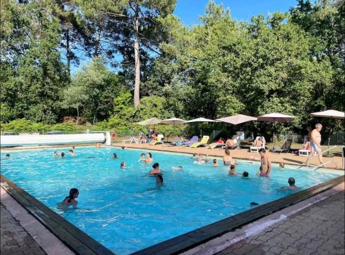 un groupe de personnes nageant dans une piscine dans l'établissement Maison 11p au calme avec clim et piscine, à Lacanau