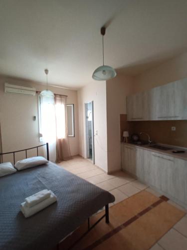 Kuchyň nebo kuchyňský kout v ubytování Hotel THERMOPULES