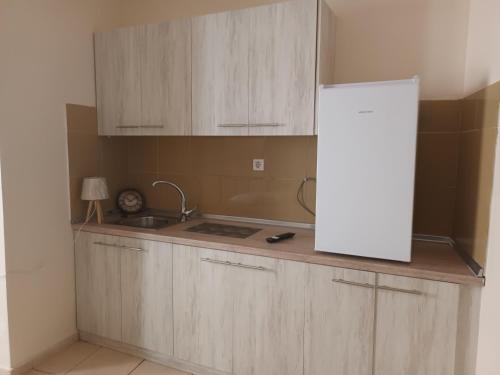 Kuchyň nebo kuchyňský kout v ubytování Hotel THERMOPULES