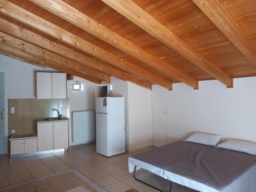 Kuchyň nebo kuchyňský kout v ubytování Hotel THERMOPULES