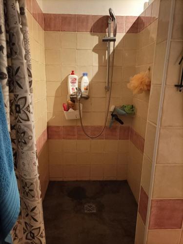 La salle de bains carrelée est pourvue d'une douche avec rideau de douche. dans l'établissement Villa avec piscine et clim, à Saze
