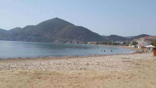 a beach with a group of people swimming in the water at komi's family house in Chios