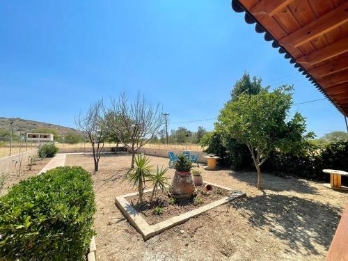 a garden with plants and trees and a building at komi's family house in Chios