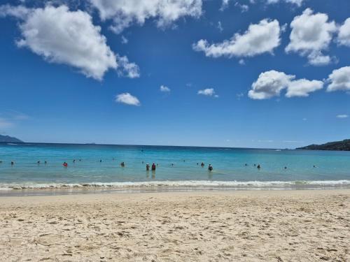 a group of people in the water at the beach at Kaz Memel in Beau Vallon