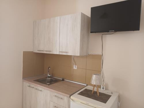 Kuchyň nebo kuchyňský kout v ubytování Hotel THERMOPULES