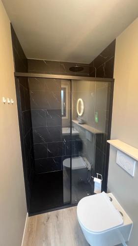 a bathroom with a toilet and a sink at Hélius lodge in Brugelette