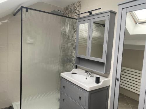 a bathroom with a sink and a glass shower at Confortable Appartement près de Metz pour 6 personnes in Ban-Saint-Martin