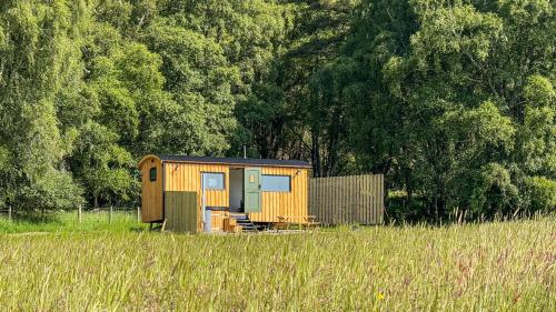 a small wooden cabin in a field of grass at Cnocvann Croft Shepherd Huts in Kilmorack