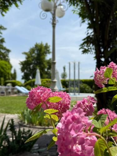 a bunch of pink flowers in a park at Boutique Hotel Villa am See in Hagnau