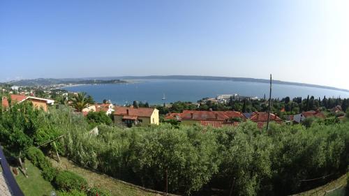 Apartments Hafner