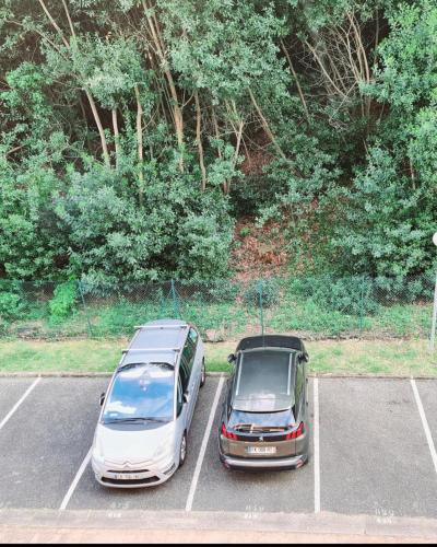 Appartement centre ville Arcachon avec terrasse et parking