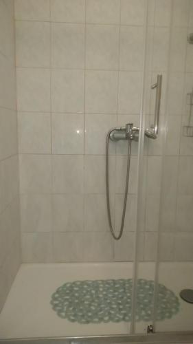 a shower in a bathroom with a shower at Studio apartman Marija in Bol