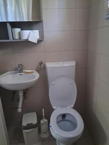 a small bathroom with a toilet and a sink at Apartman EXIT-TVRĐAVA in Petrovaradin