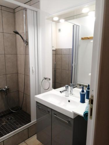 une salle de bain avec un lavabo et une douche dans l'établissement Gite Papillon, à Vaux-sur-Mer