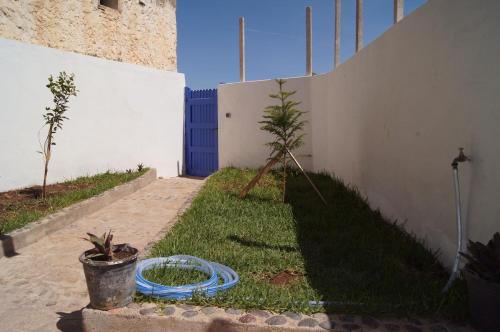 Κήπος έξω από το Le Petit Kaouki 1 bedroom with private garden