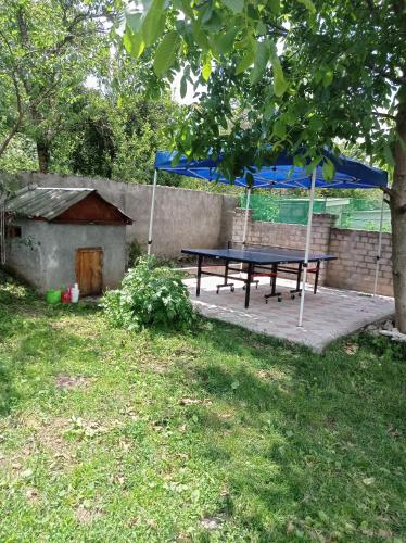 a picnic table with a blue canopy in a yard at BIG HOUSE in Dilijan