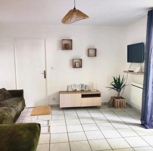 un salon avec un canapé et une télévision dans l'établissement Charmant T3 56m2 Vetraz-Monthoux, à Vétraz-Monthoux