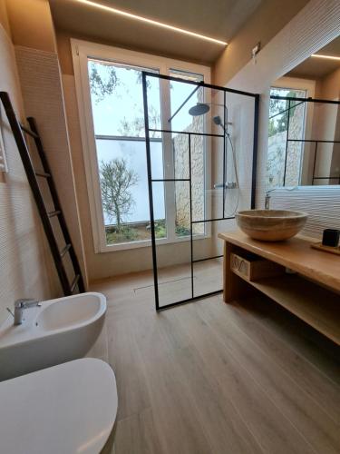 a bathroom with a shower and a sink and a toilet at Villa dell'Olivo Bianco in Castion Veronese