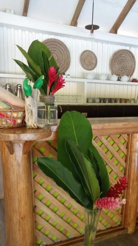 a table with a vase of flowers on it at La Rana De Cahuita in Cahuita