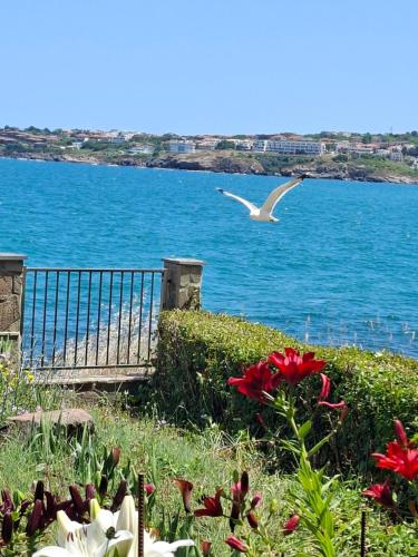 Φυσικό τοπίο κοντά σε αυτός ο ξενώνας