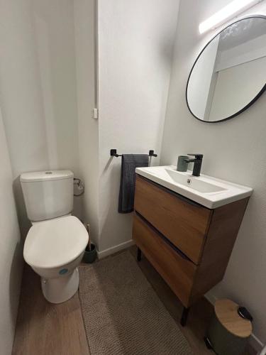 une salle de bain avec toilettes, lavabo et miroir dans l'établissement Au pied du château, à Lourdes