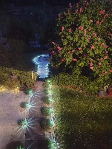 Κήπος έξω από το Mészi Vendégház