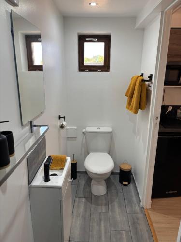 une salle de bain avec toilettes et lavabo dans l'établissement The Studio at Gites 474, à Sallèles-dʼAude