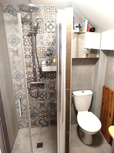 une salle de bain avec douche et toilettes dans l'établissement Maison Danton peaceful haven, à Marseille