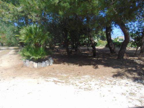 Gallery image of Vacanze al Minci in Giurdignano