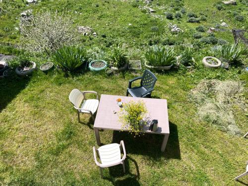a table and chairs in a garden with plants at GuestHouse NaSHGOBI in Ushguli