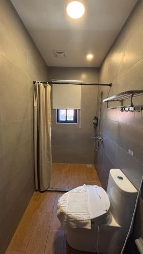 a small bathroom with a toilet and a shower at 鹿厝老街民宿 in Lugang