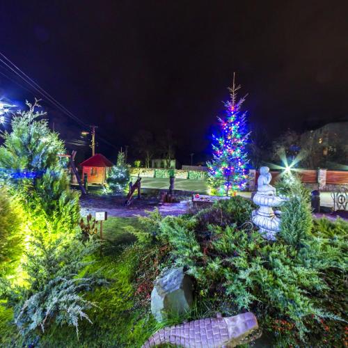 a christmas tree in a yard with christmas lights at Laguna in Slavske