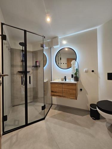 KlimkoviceにあるHotel U Feldůのシャワー、洗面台、トイレ付きのバスルーム