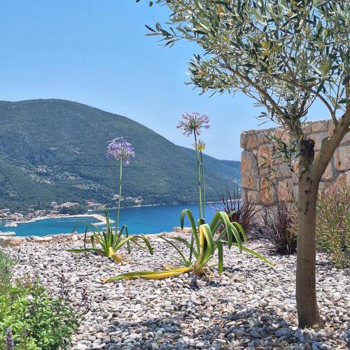 a tree and some plants on a rocky beach at Azzurro Mare in Póndi