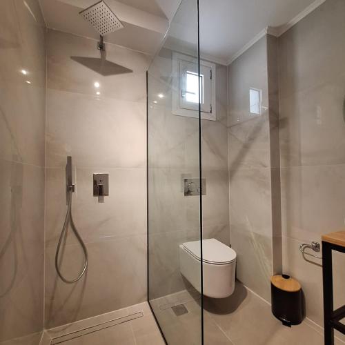 a bathroom with a shower with a toilet in it at Azzurro Mare in Póndi