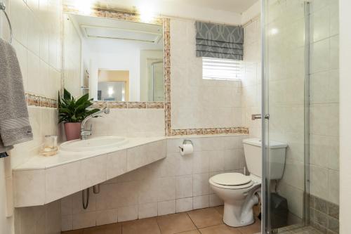 a bathroom with a toilet and a sink and a mirror at Relaxing Seaside Escape at 2 Perissa in Ballito