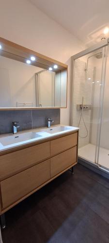 La salle de bains est pourvue d'un grand lavabo et d'une douche. dans l'établissement Appartement calme, hypercentre, au pied du marché, à Rochefort