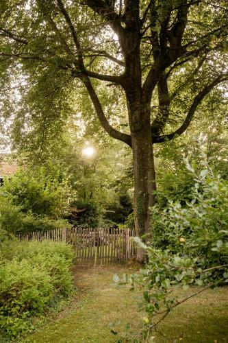 a fence around a tree in a garden at Schönstes kleines Ferienhaus in der Lü-Heide in Egestorf