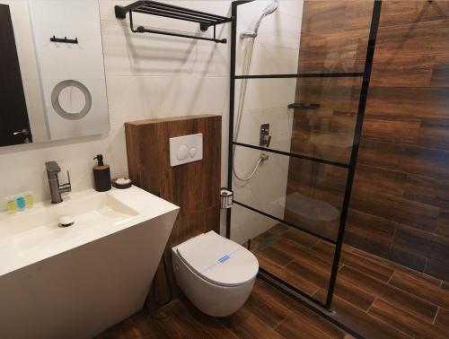 a bathroom with a shower and a toilet and a sink at Dachis Villa Private Pool Retreat in Batumi