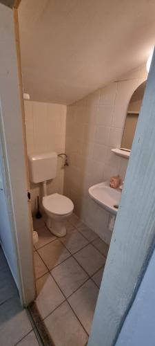 un baño con inodoro y lavabo en Gergely Apartman, en Pálosvörösmart