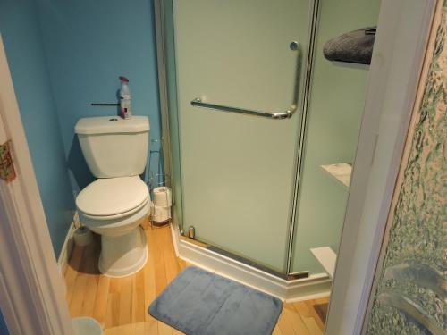a bathroom with a toilet and a shower at Gite Passion et Tendresse B&B in Shefford