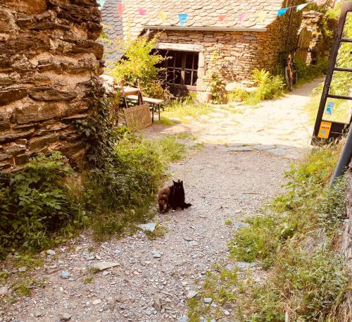 a black cat sitting on the ground next to a stone building at Le Refuge de Castagnols in Vialas